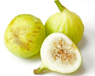 White Marseille Fig, Blanche Fig, Lattarula, Lemon fig, Ficus carica 'White Marseille'